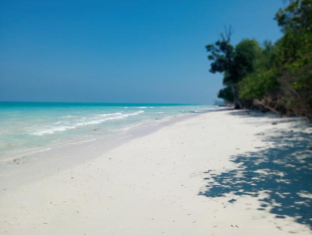 PORT BLAIR TO HAVELOCK WITH PRIVATE CRUISE