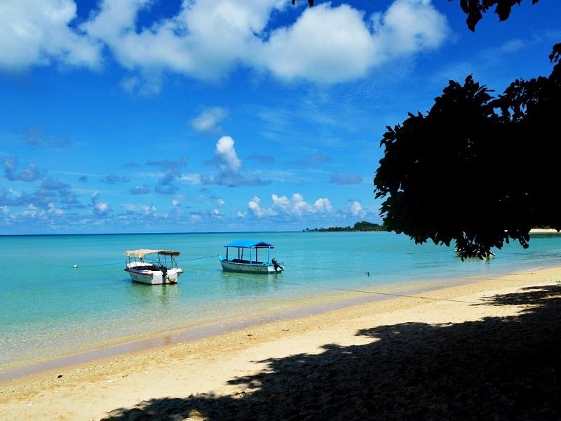 Havelock island india camps